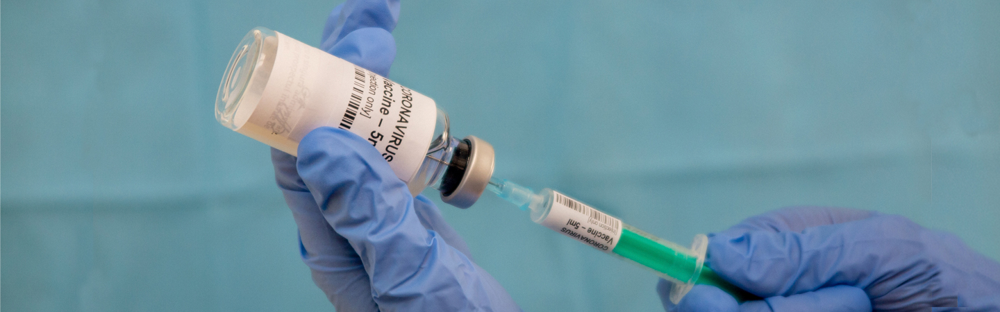 image of a virus