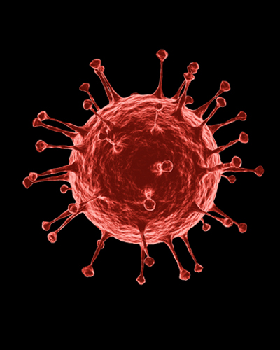 Image of a virus