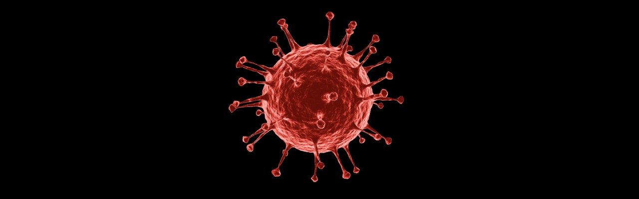 image of a virus